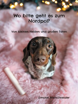 cover image of Wo bitte geht es zum Nordpol?